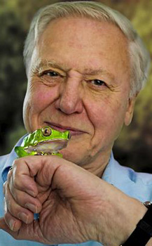 David Attenborough